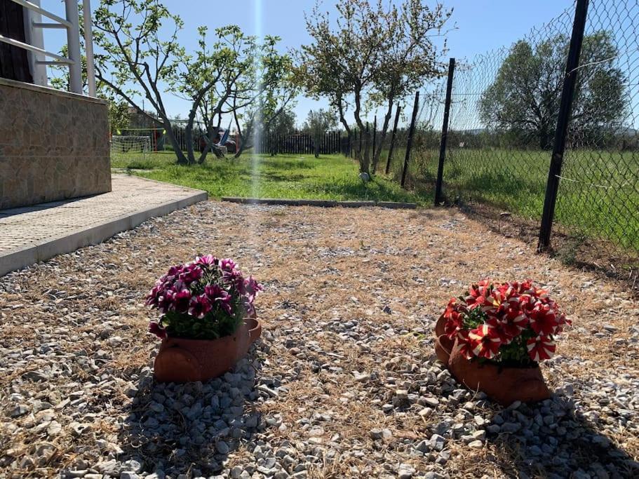 Villa ,,Sea Breeze,, - Home By The Sea Néa Ankhíalos Exterior foto