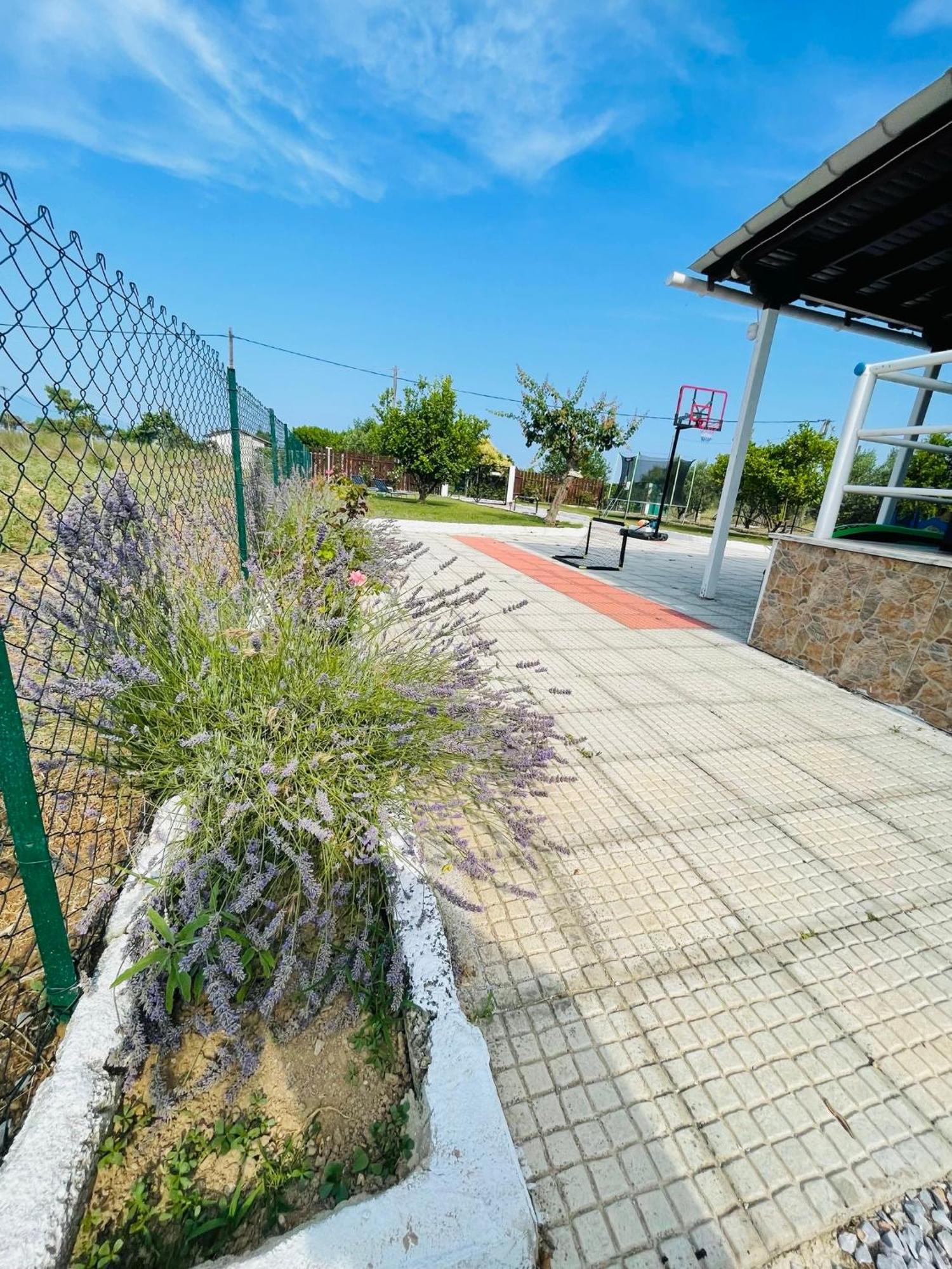 Villa ,,Sea Breeze,, - Home By The Sea Néa Ankhíalos Exterior foto